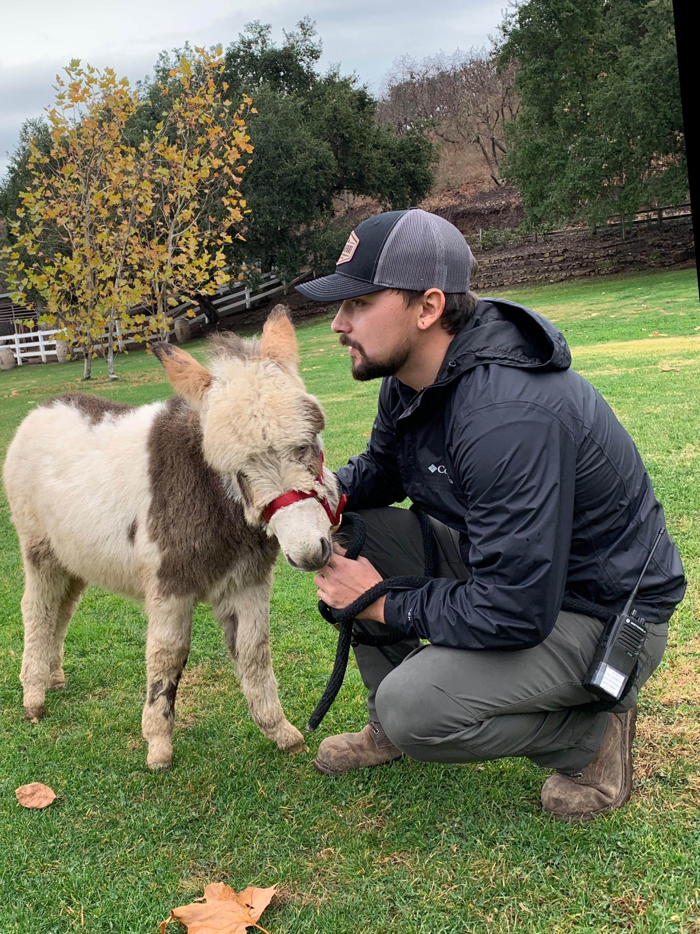 TheManThemyth profile image