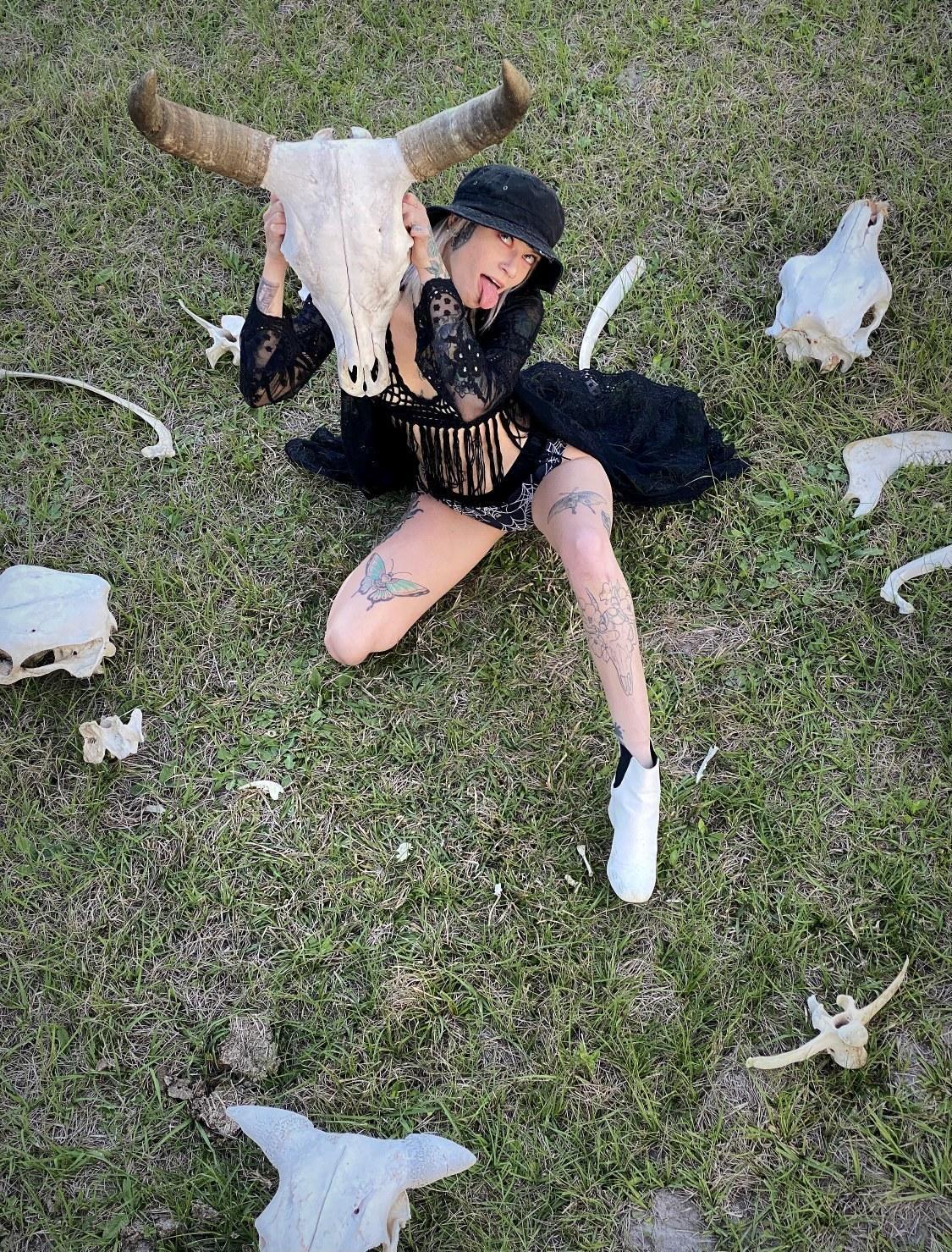 Kitty Vik 😻 profile image