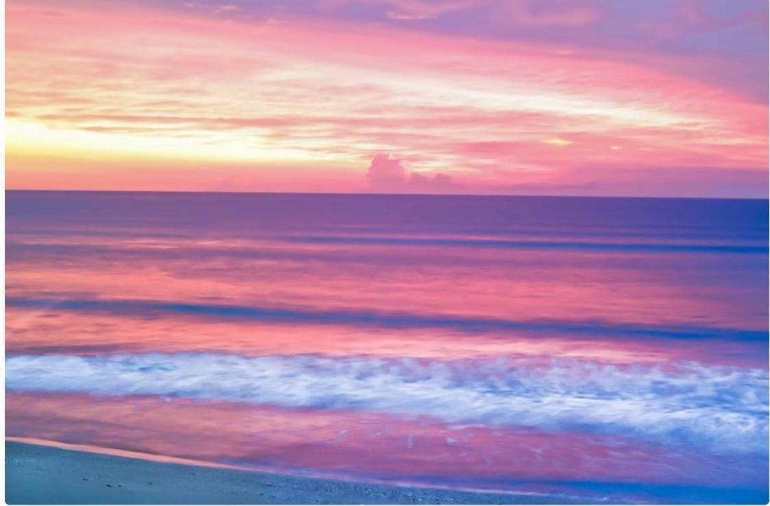 Safe Haven profile image