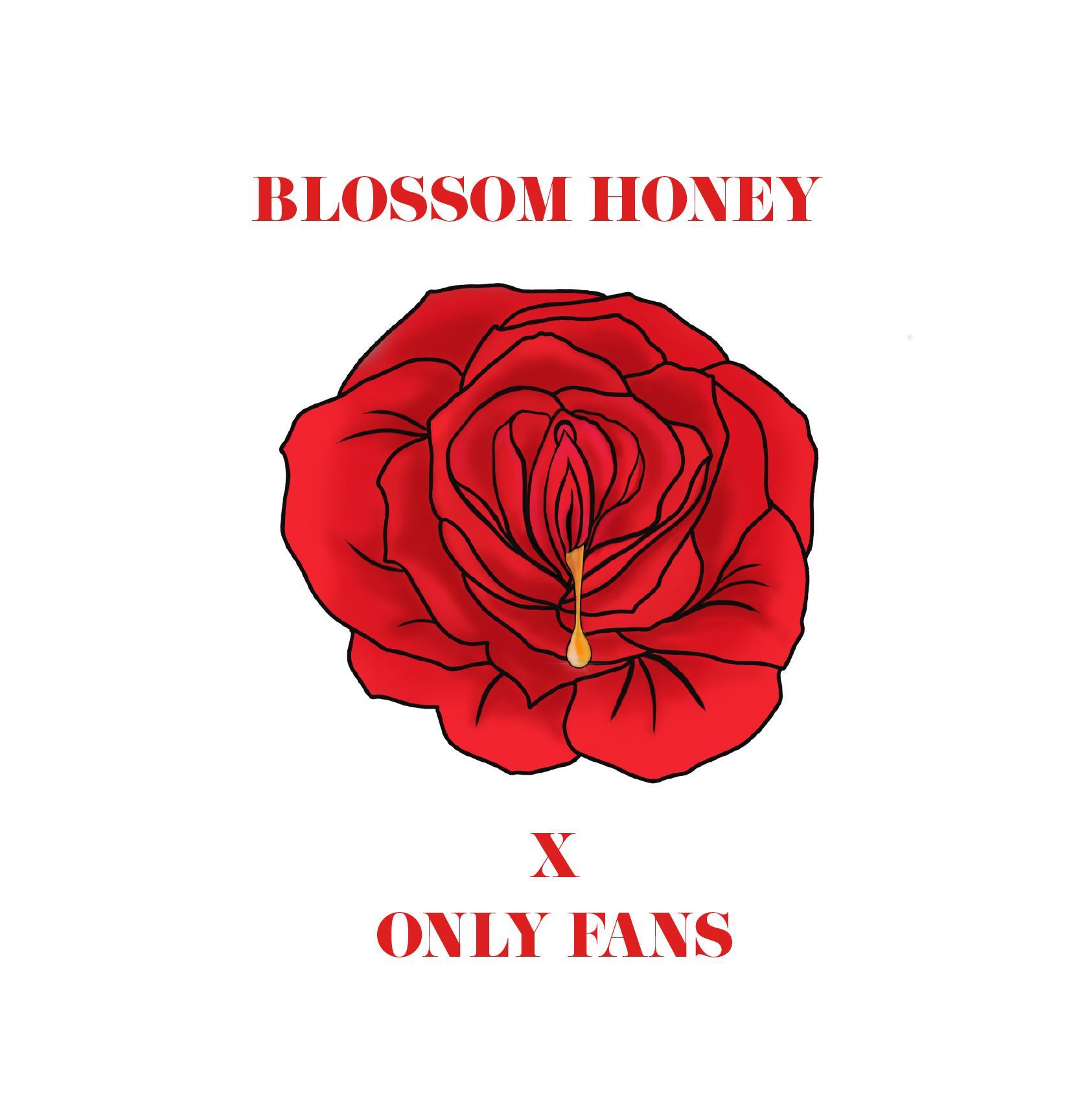 Blossom profile image