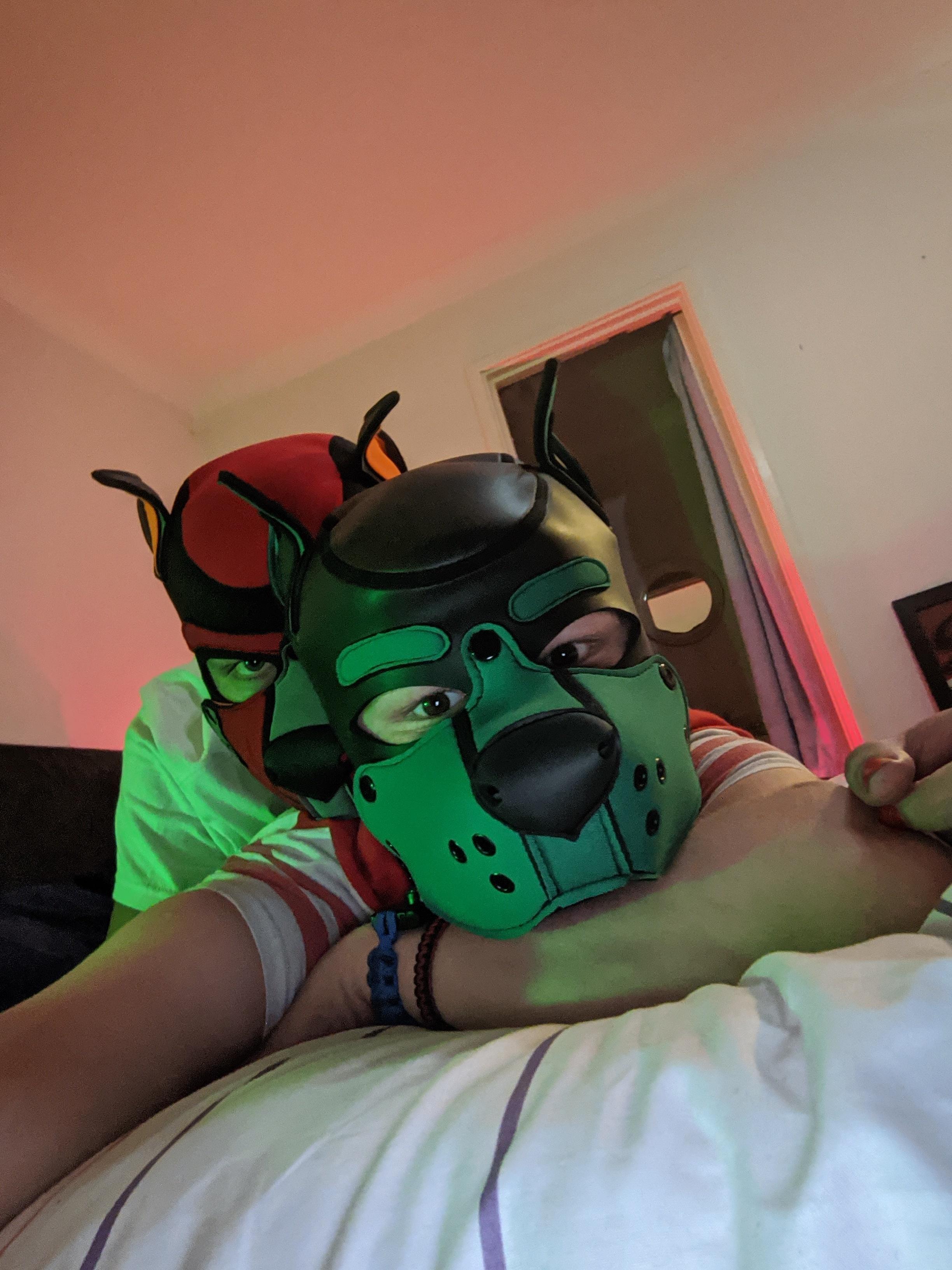 Patches da Pup profile image