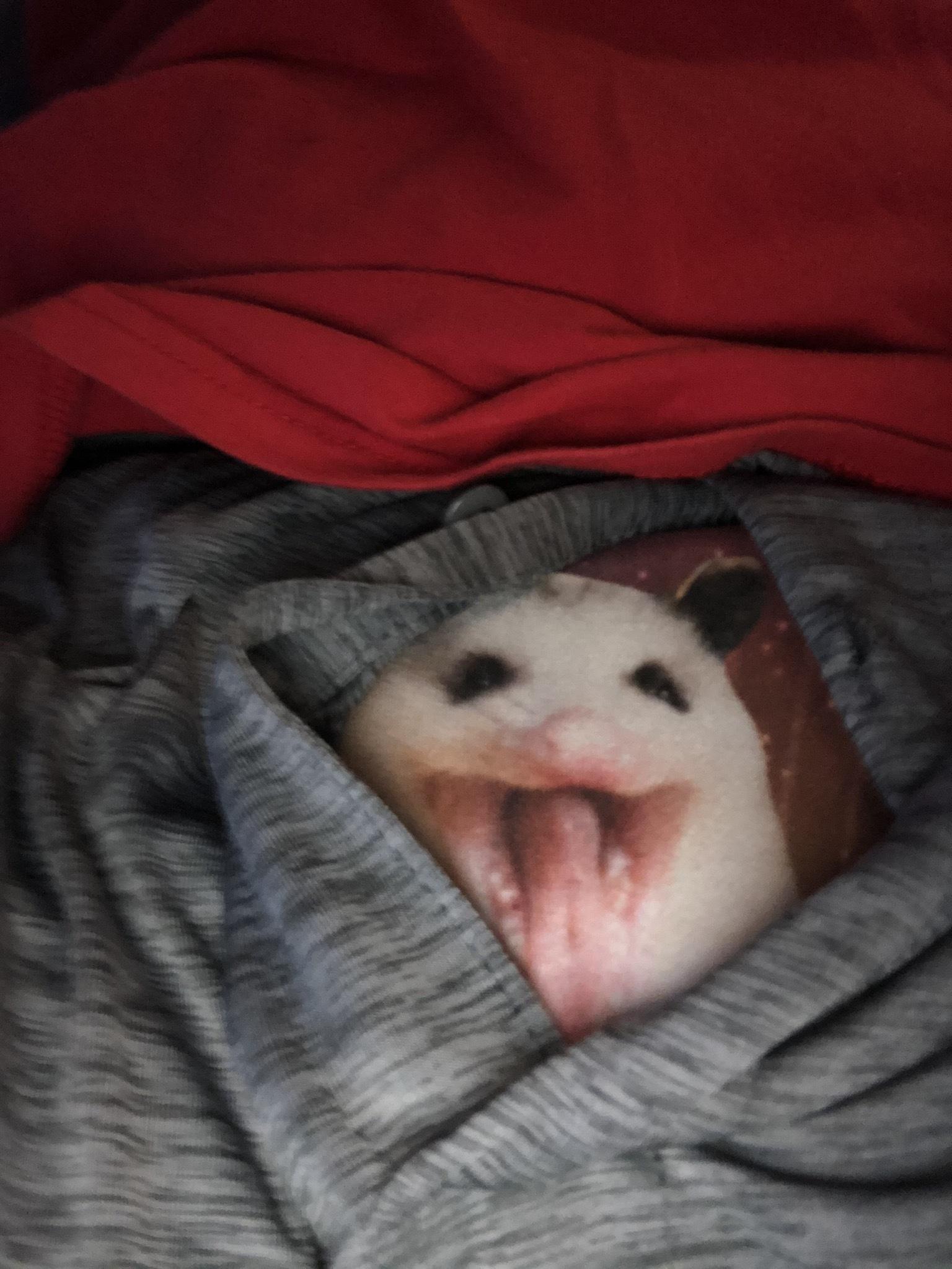 Bonely profile image