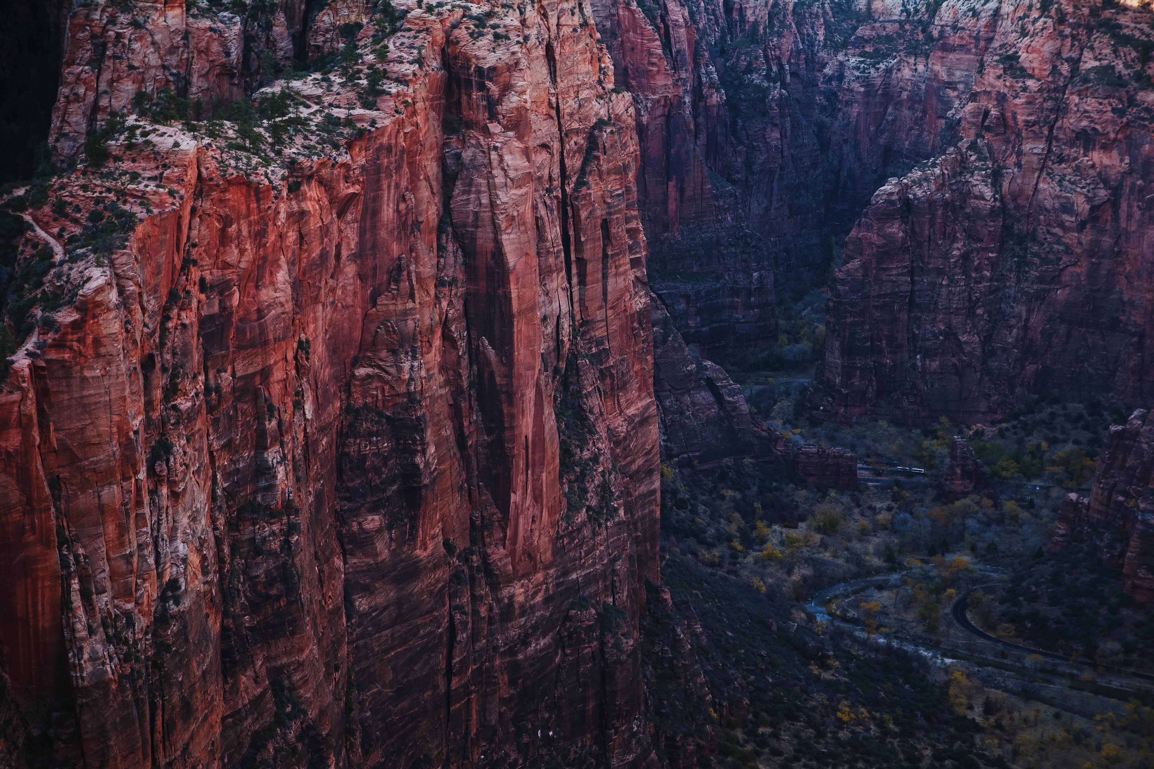 naturalnaturegrl profile image