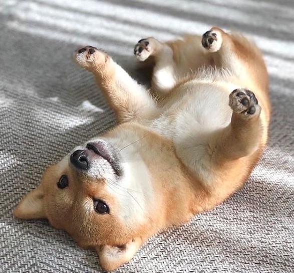 asherahsweetie 🌟 profile image