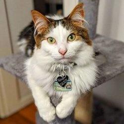 Balrog profile image