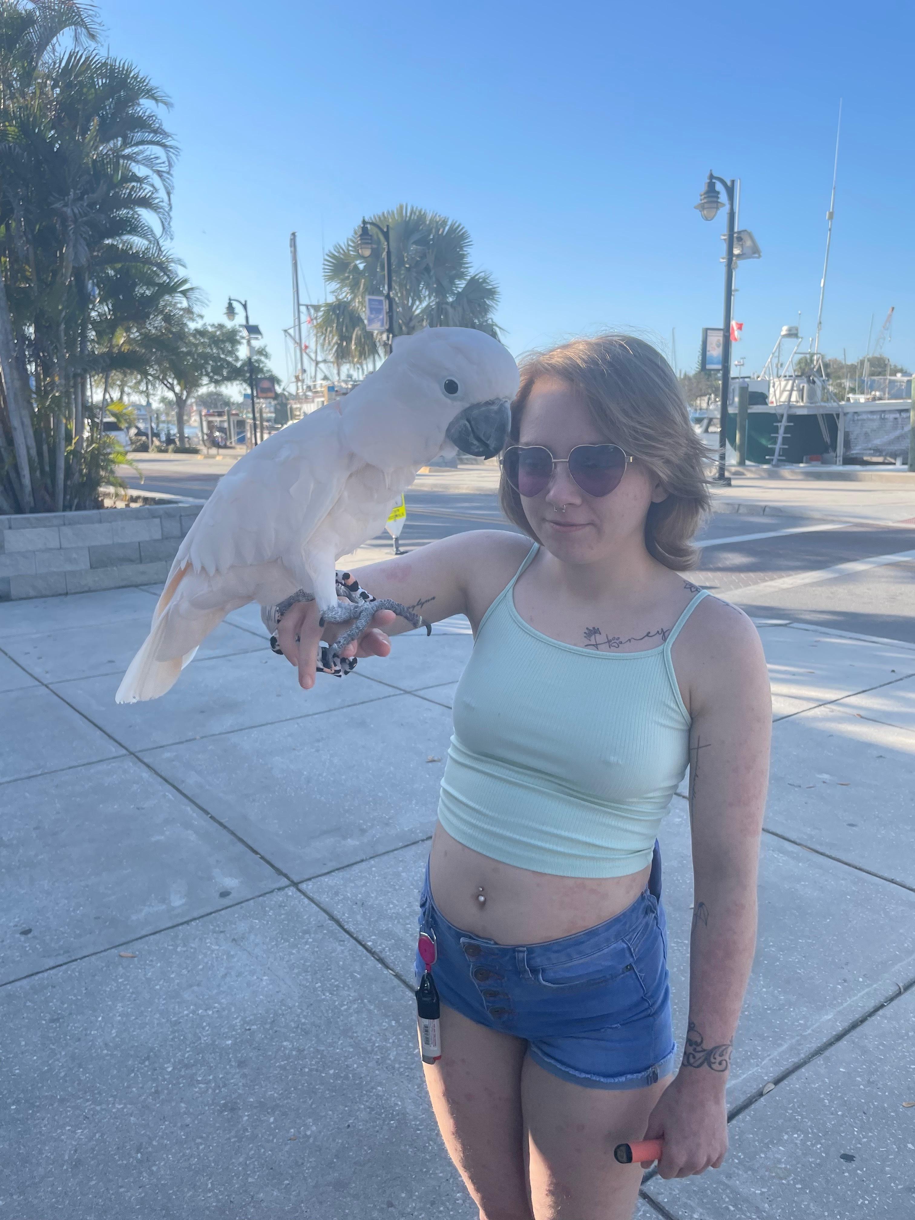 • T w a v y y 💙 profile image