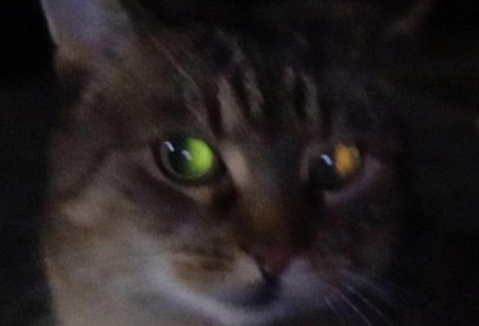 sad 🔪 profile image