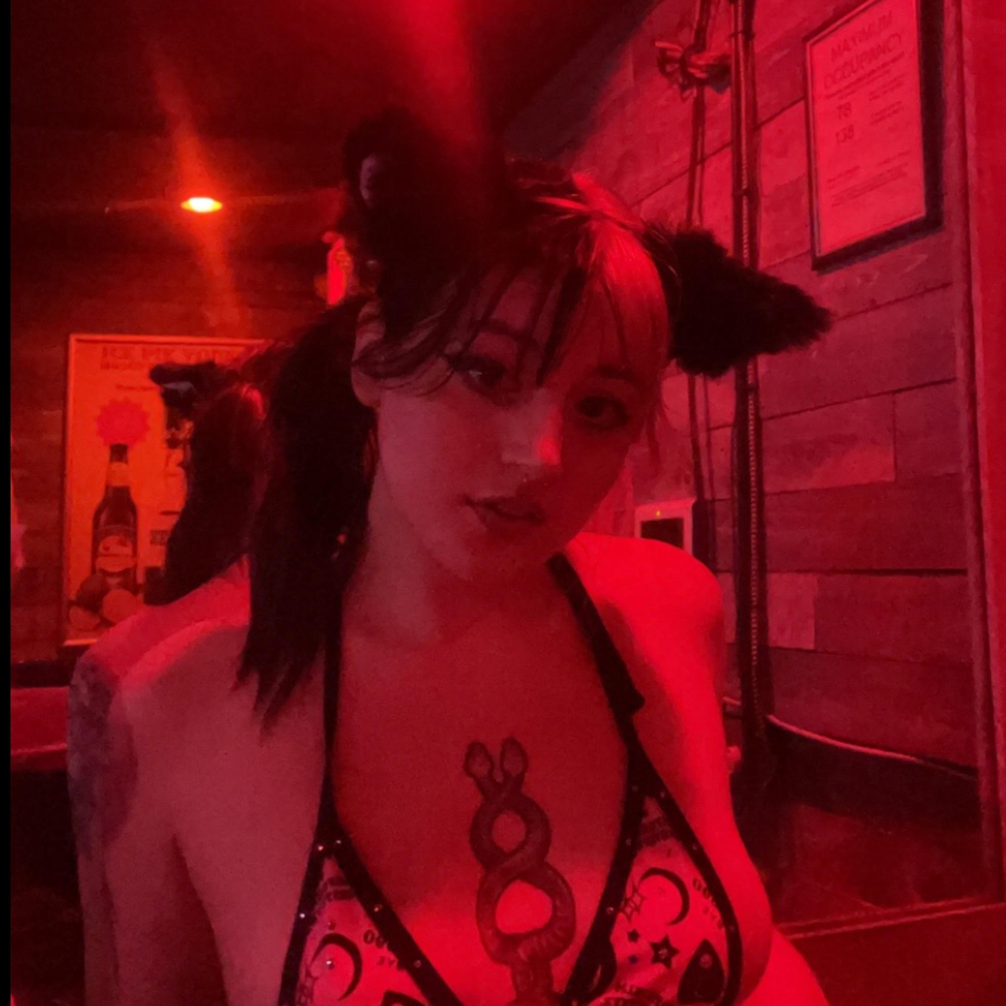 kitten profile image