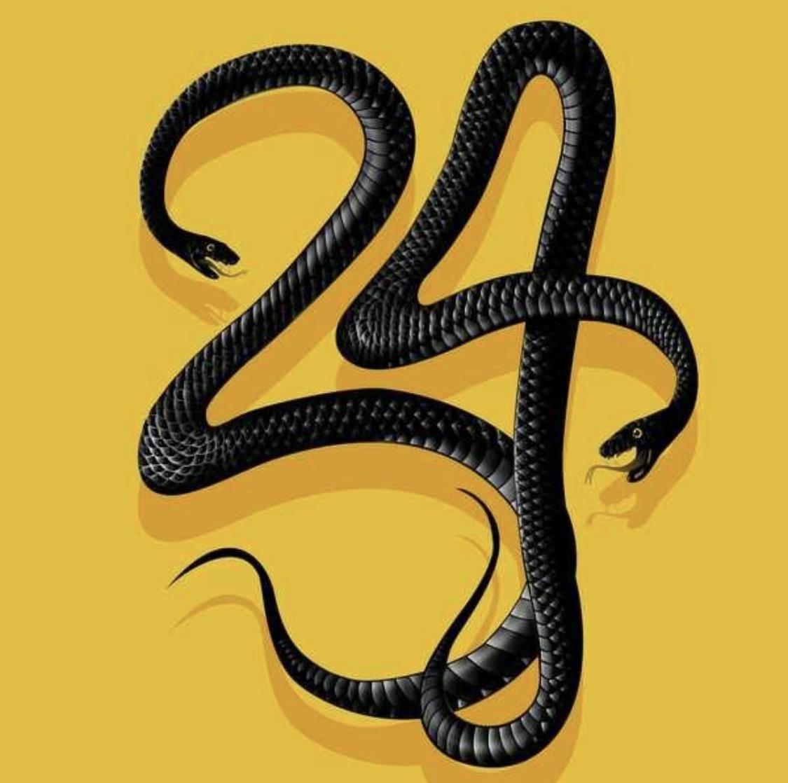 CULT 24 profile image