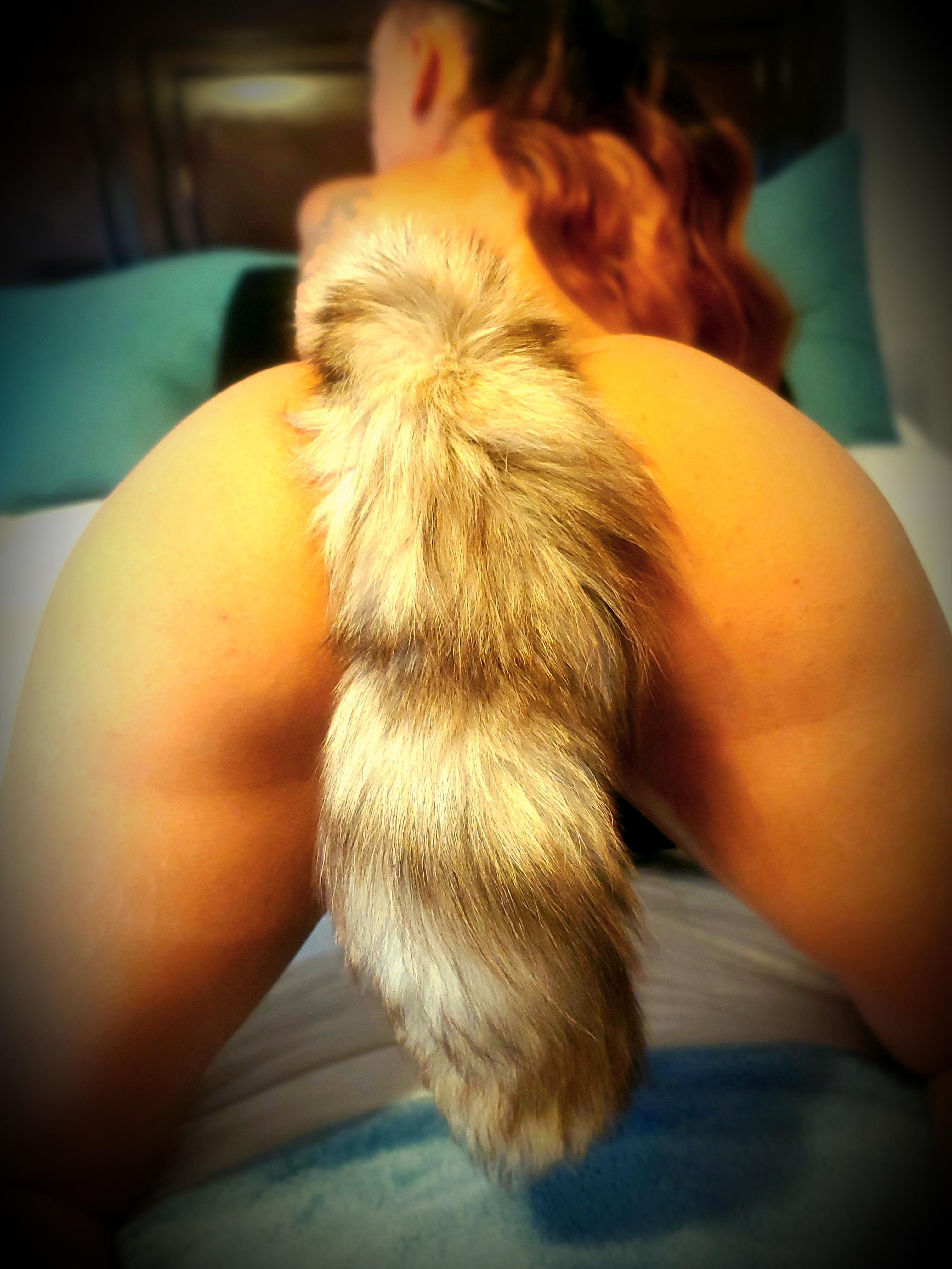 AnonymousVixin profile image