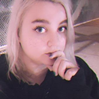 Alice in a Day Dream profile image