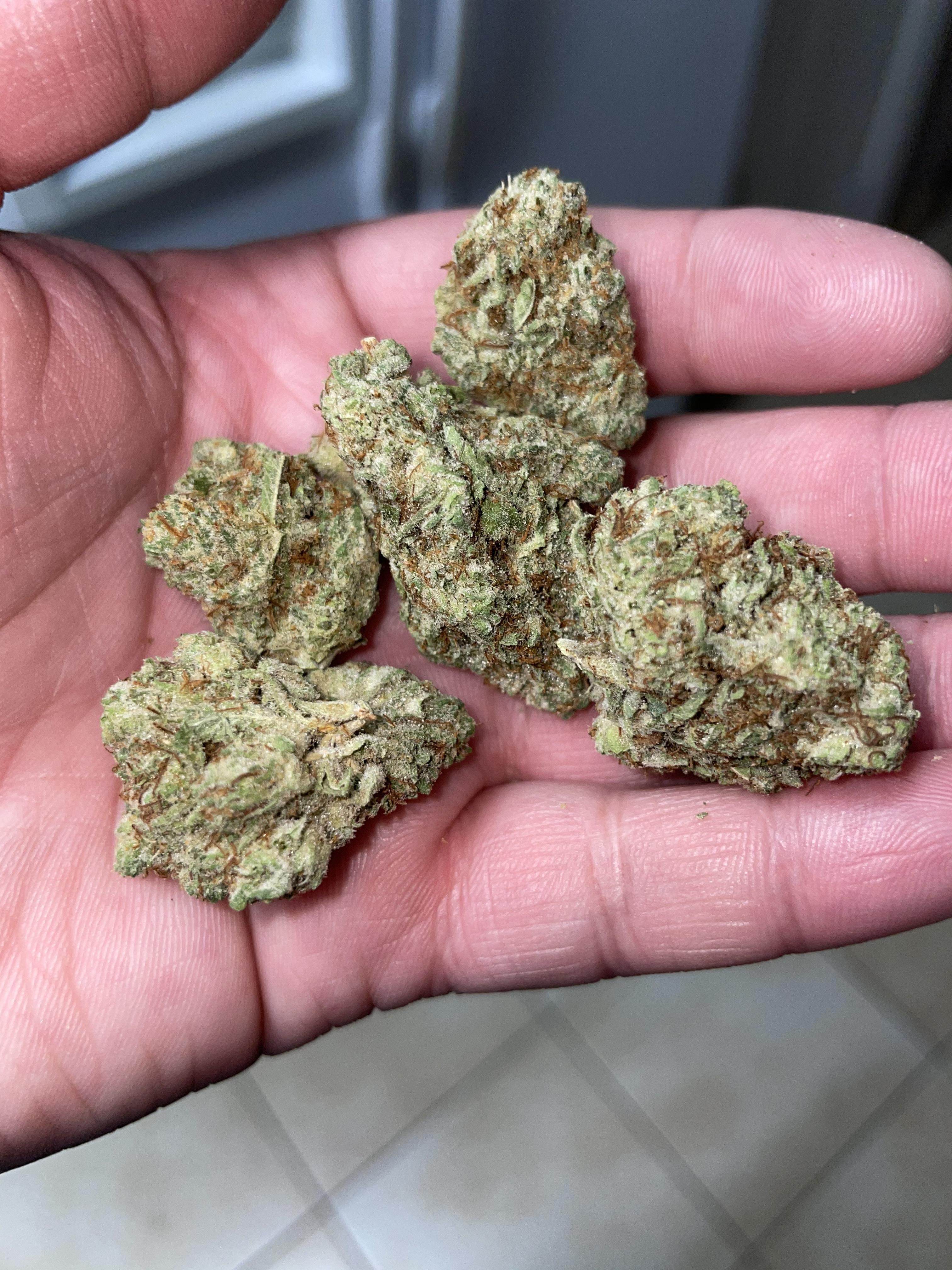 Herb daddy profile image