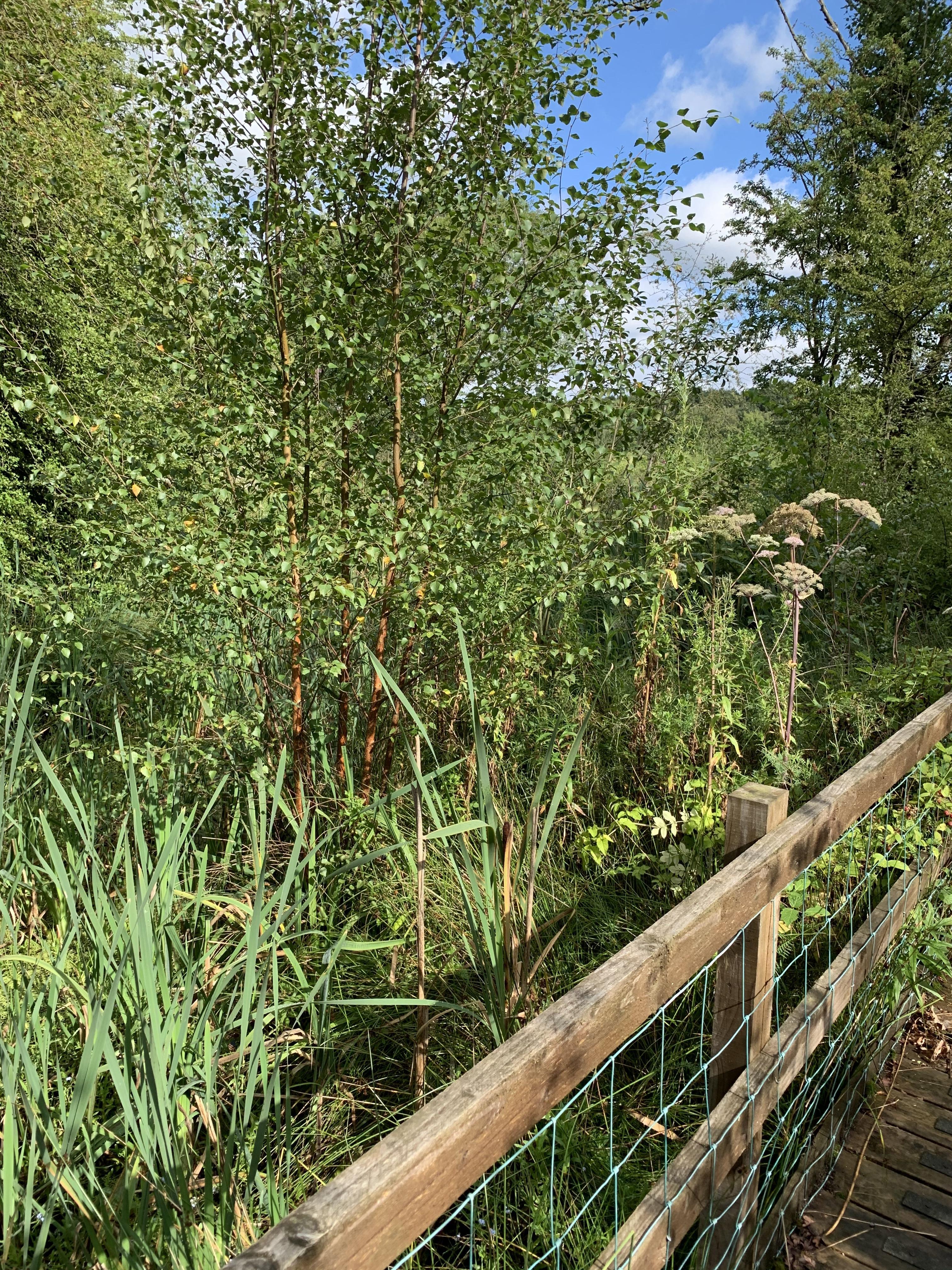 Feet and spanking profile image