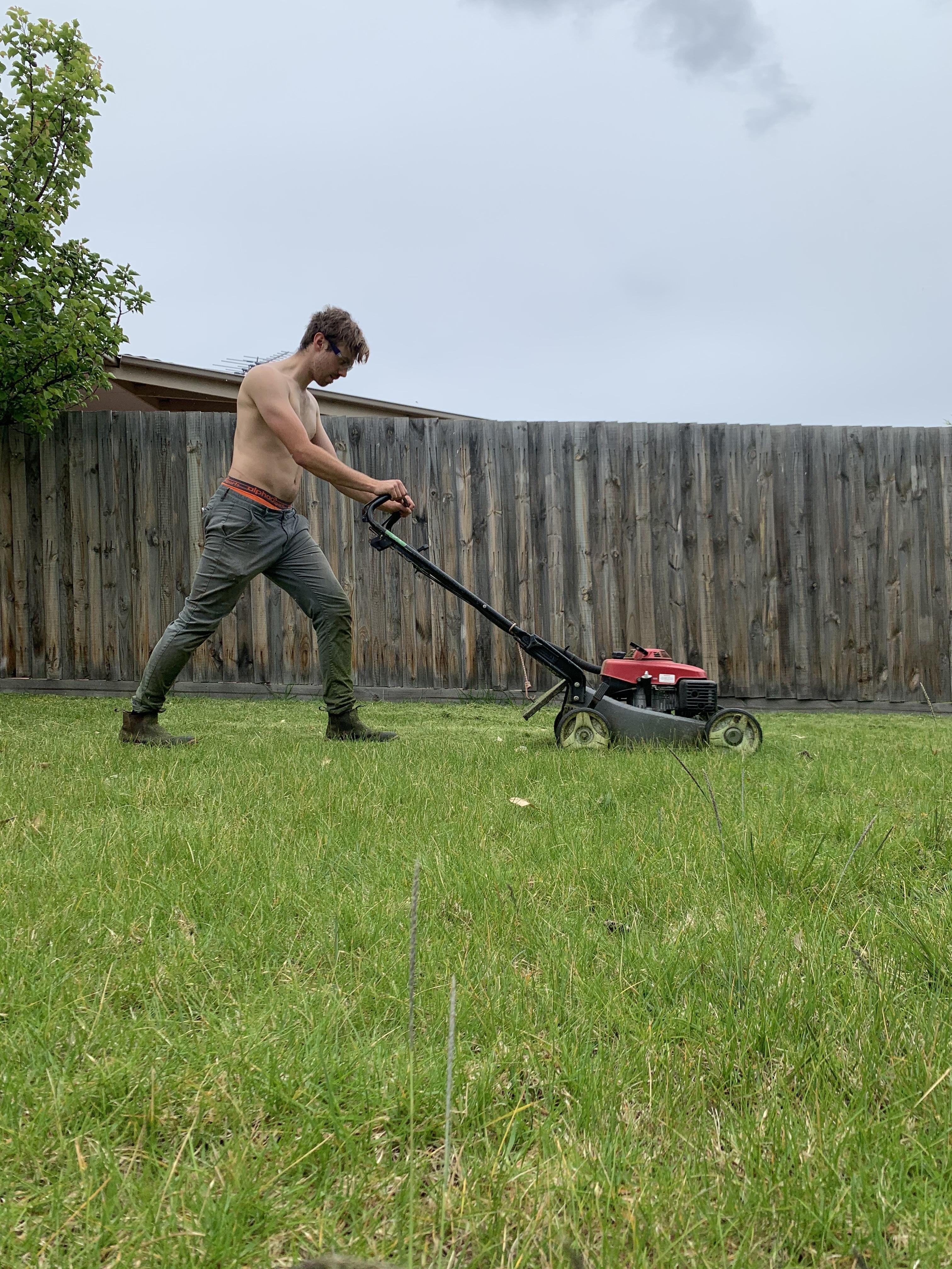 Only Lawns profile image