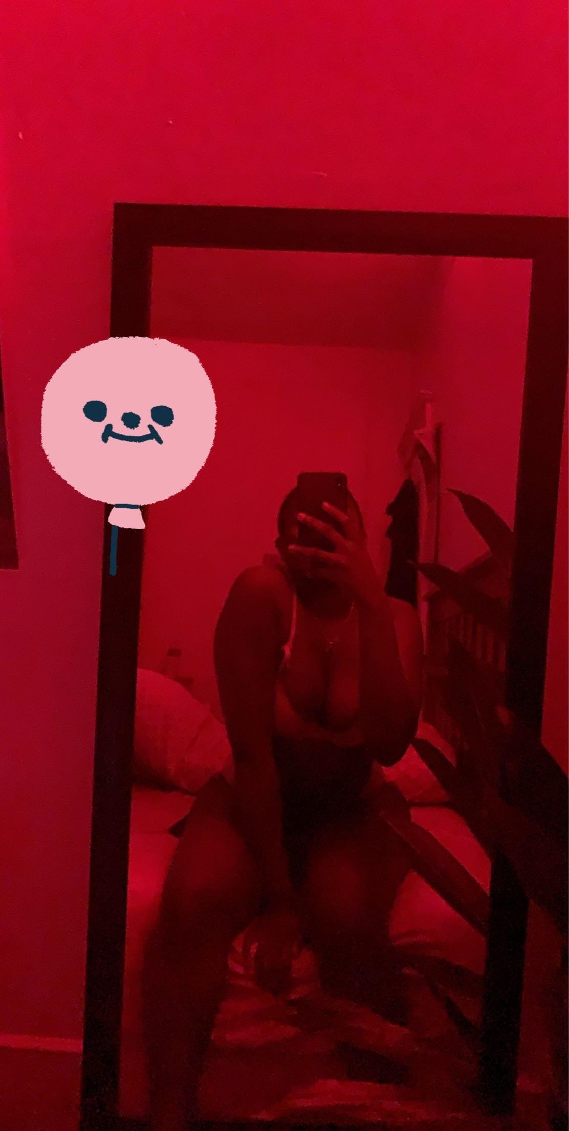 chocolate cotton tailed rabbit 🐰 profile image