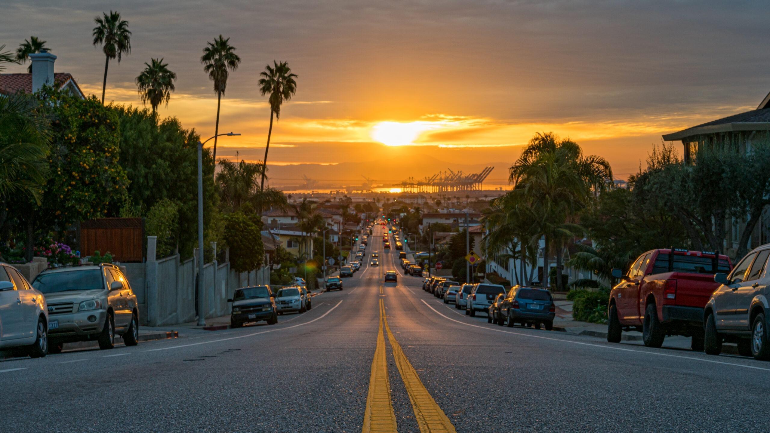 u52561117 profile image