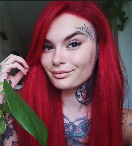 Kitten 😻 TOP 1.4%! ✨ profile image