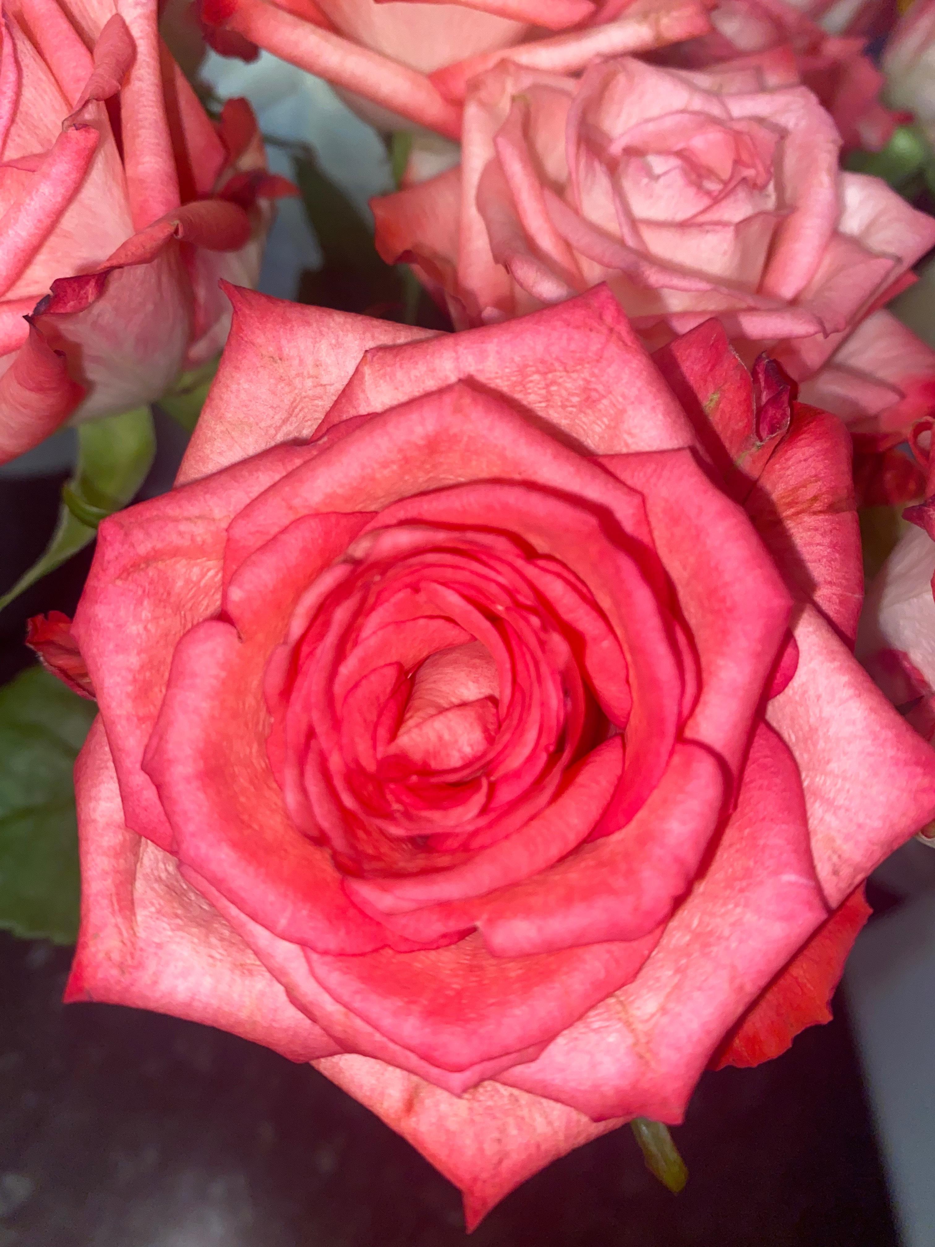 Boo baby💗 profile image