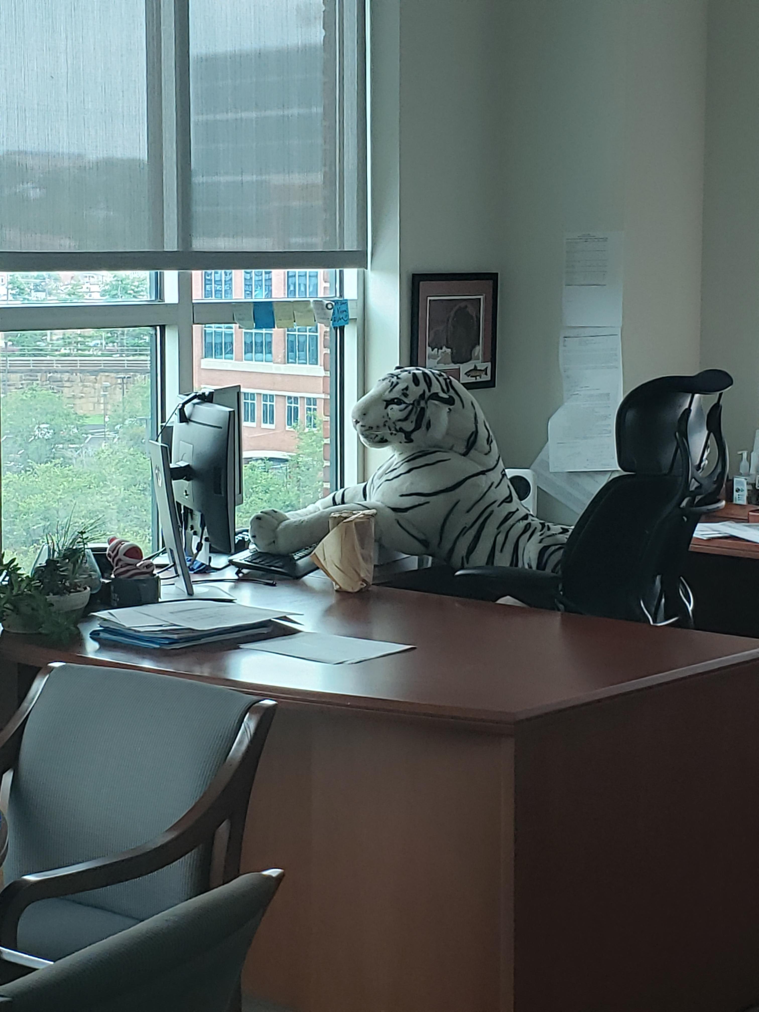 Sam Aleister profile image