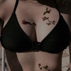 Gardenia Calathea profile image