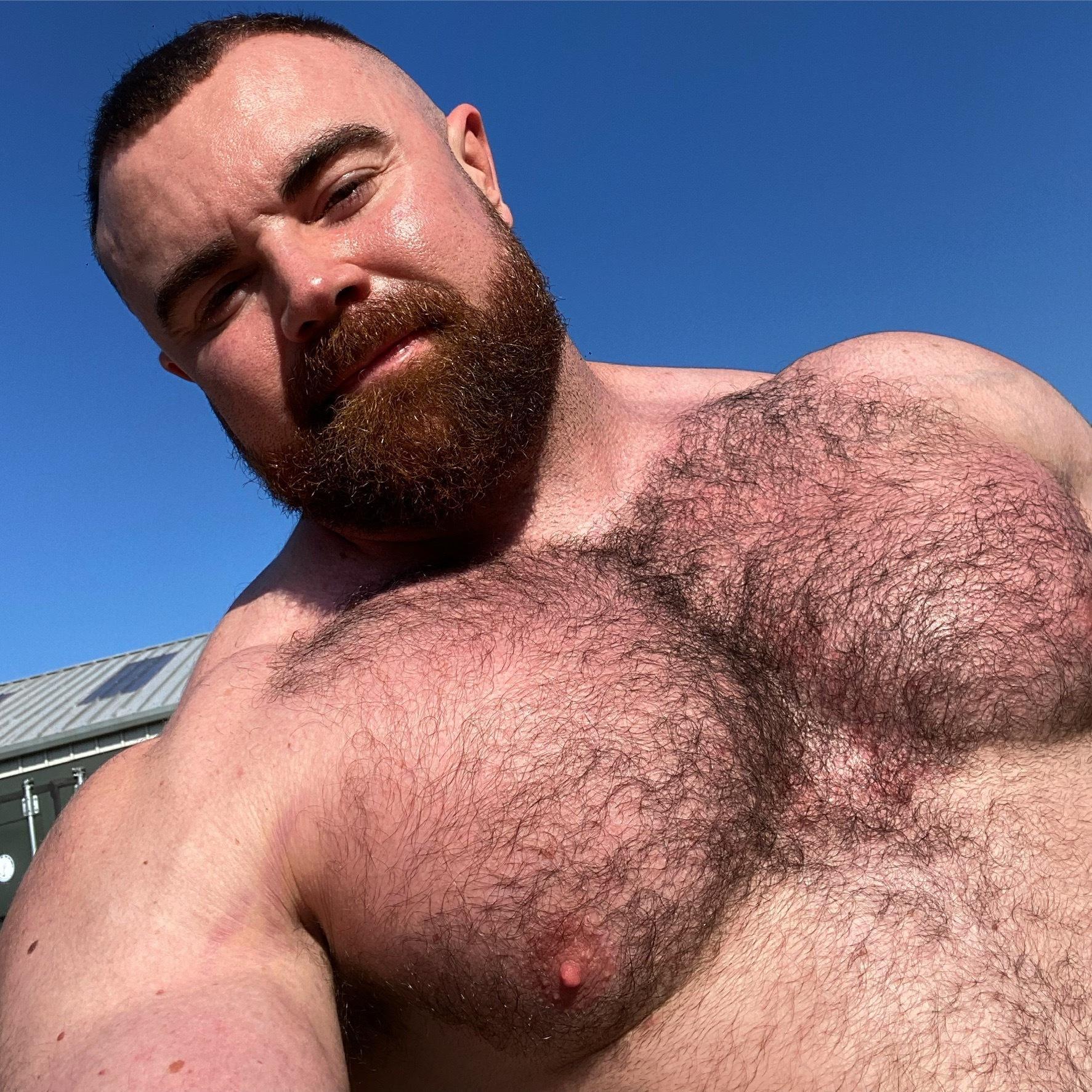 PJ KNOX profile image