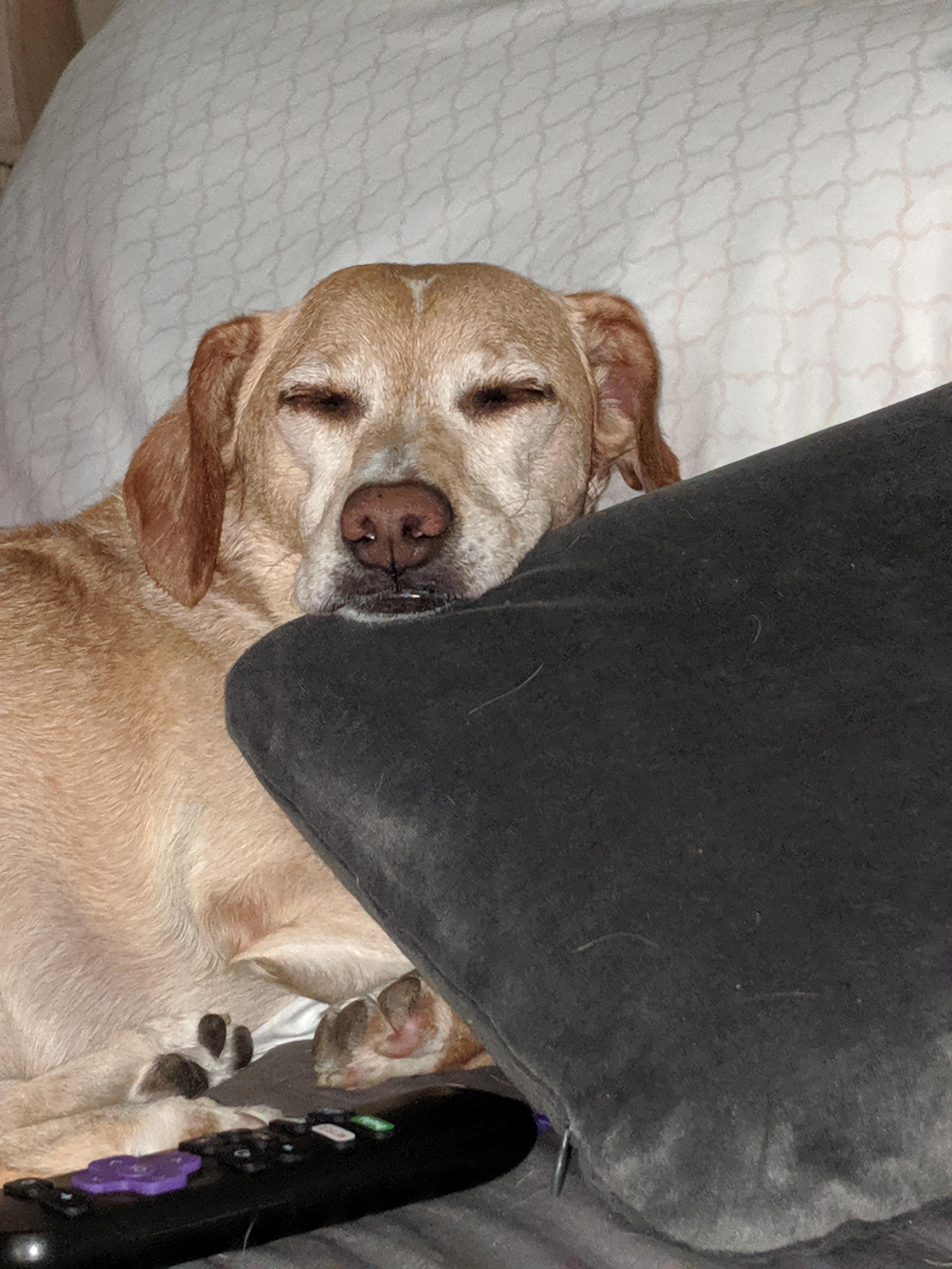 Fan Cave profile image