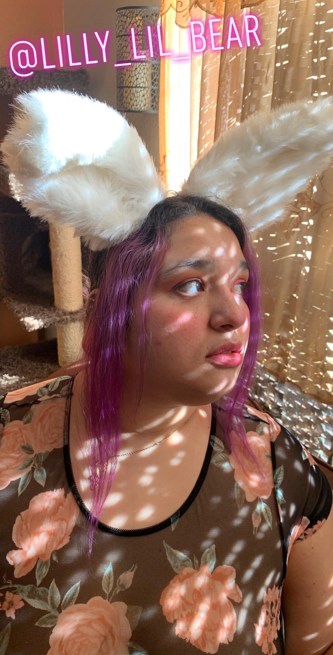 Lillybear 🐻 ✨ profile image