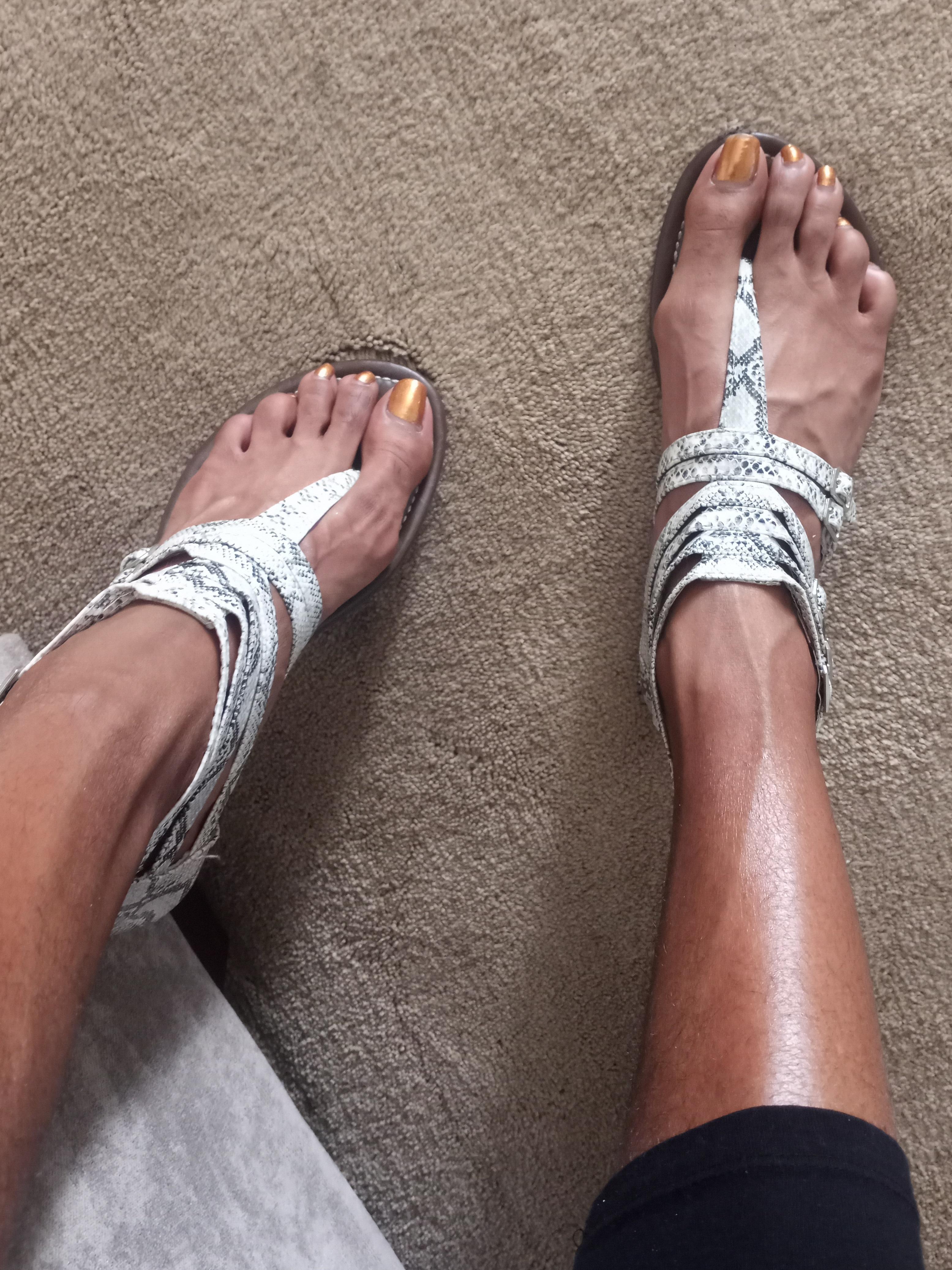 Velvet Foxx profile image