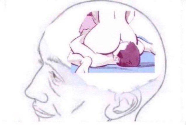 Hoekage profile image