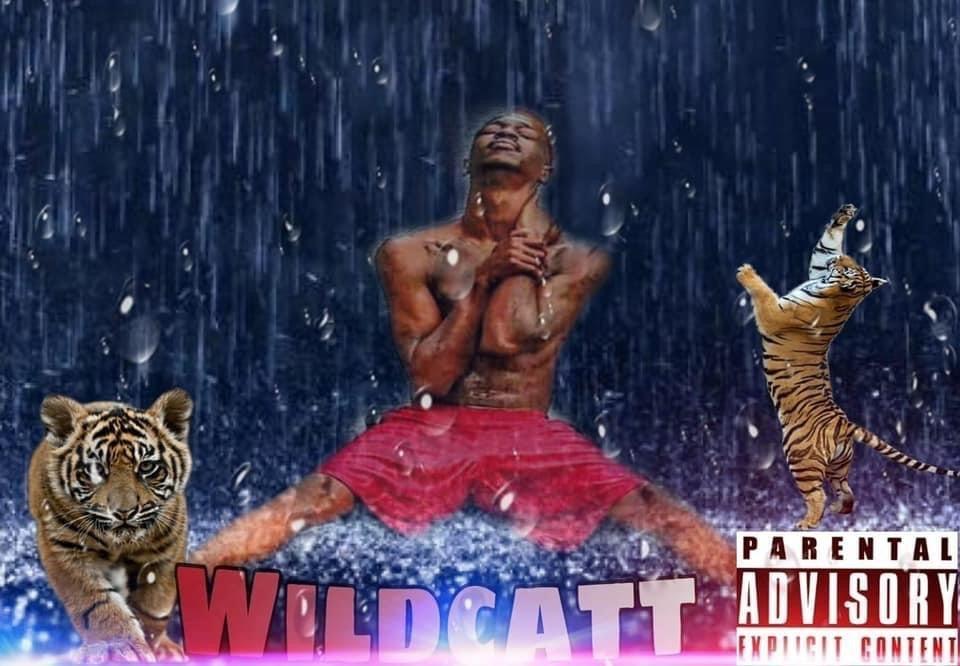 wildcatt420 🐈🐈🐈🐈🐈🐈🐈 profile image