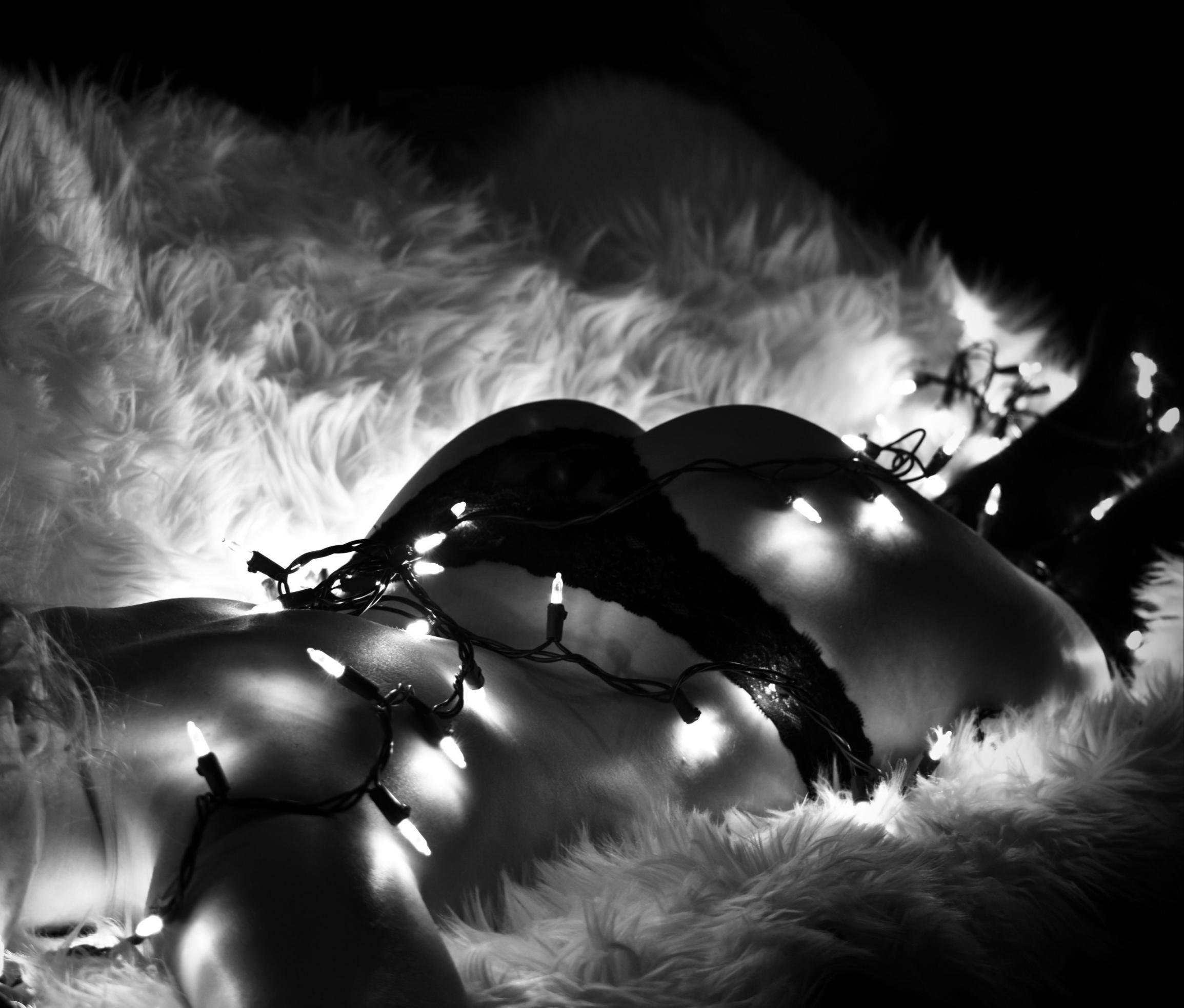 Meldog R profile image