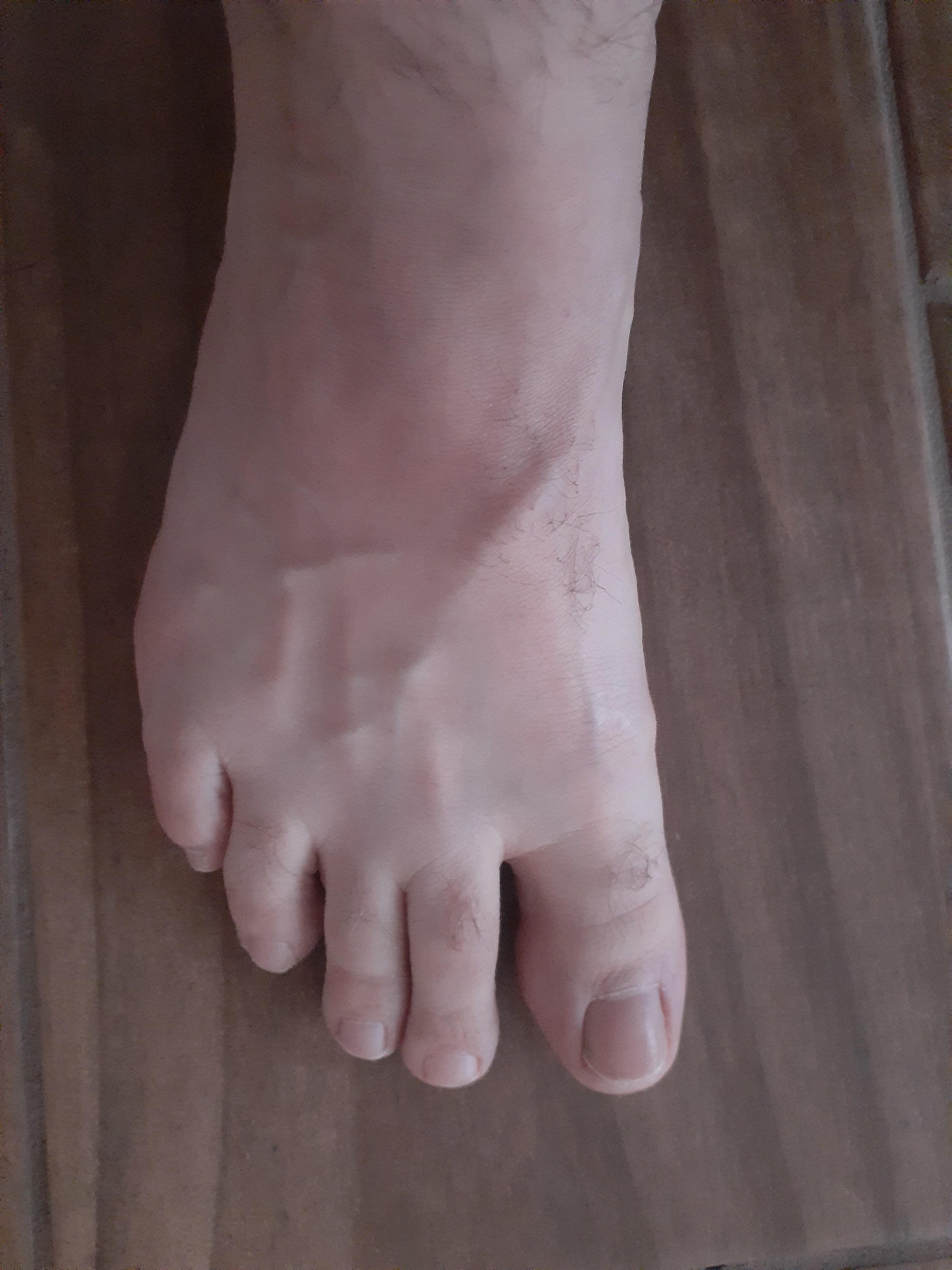 Rearguard And The One Man Dick Show profile image