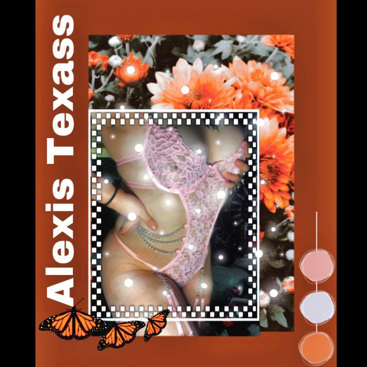 TacoTruck 🌮 profile image