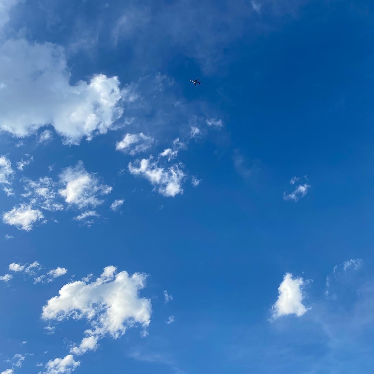 u76268294 profile image