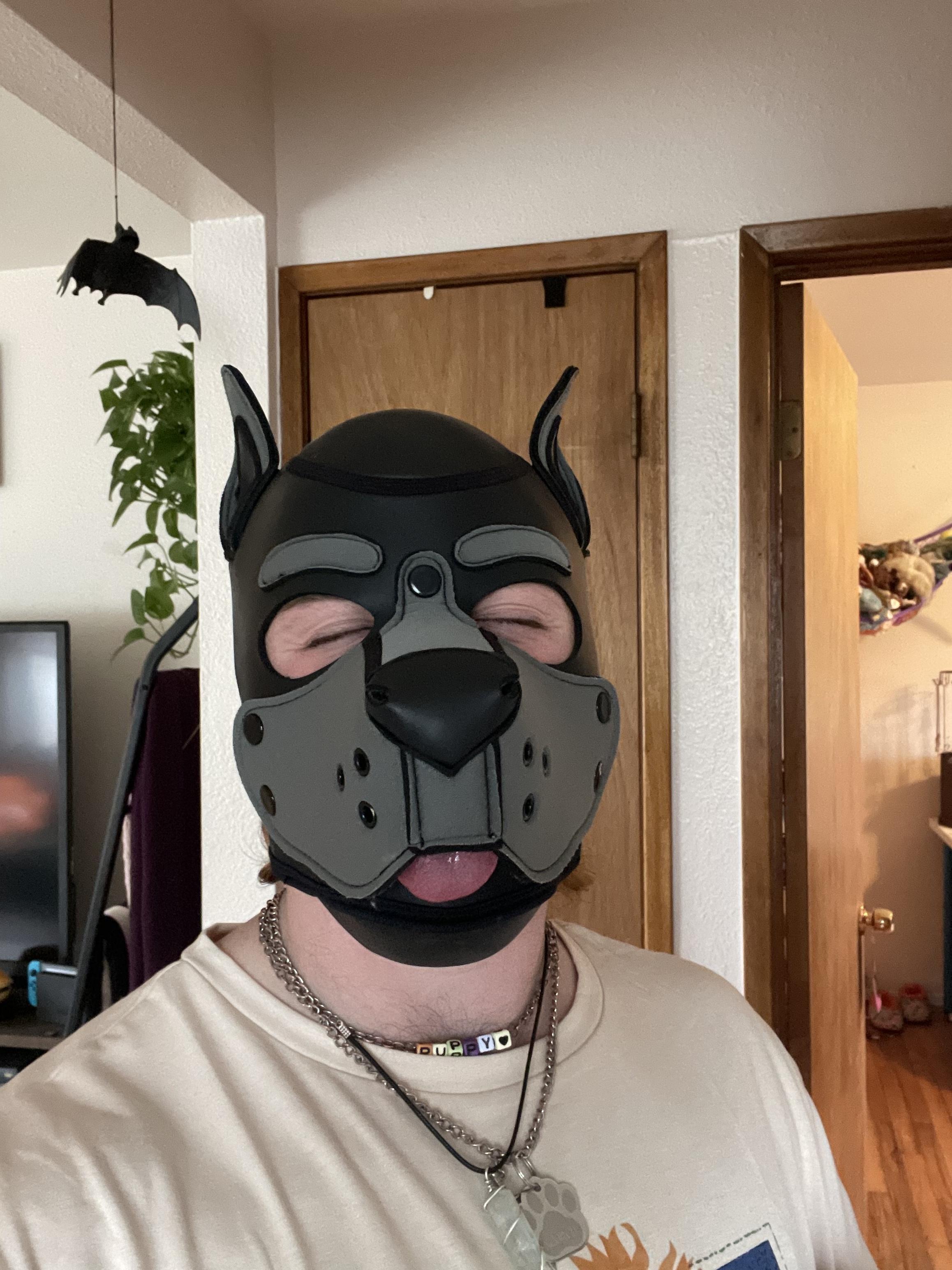 Good Boy 🐶 profile image