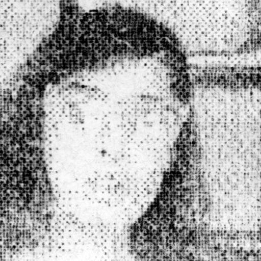 ✨𝕔𝕒𝕣𝕥𝕒✨ profile image