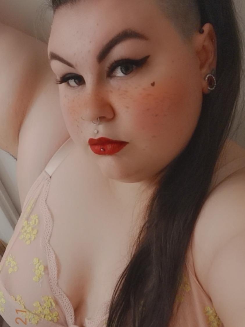 Kitten profile image