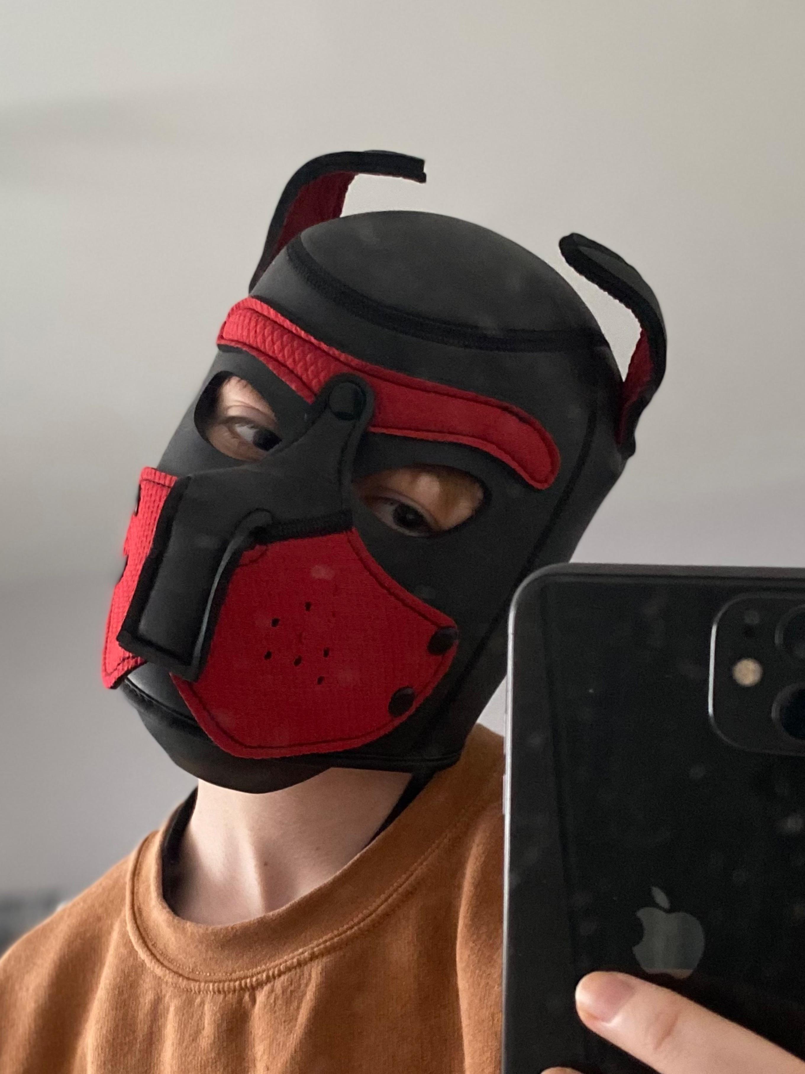 Juice Box 🧃 profile image