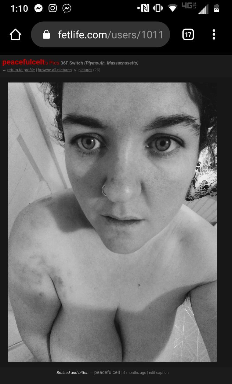 little fox profile image