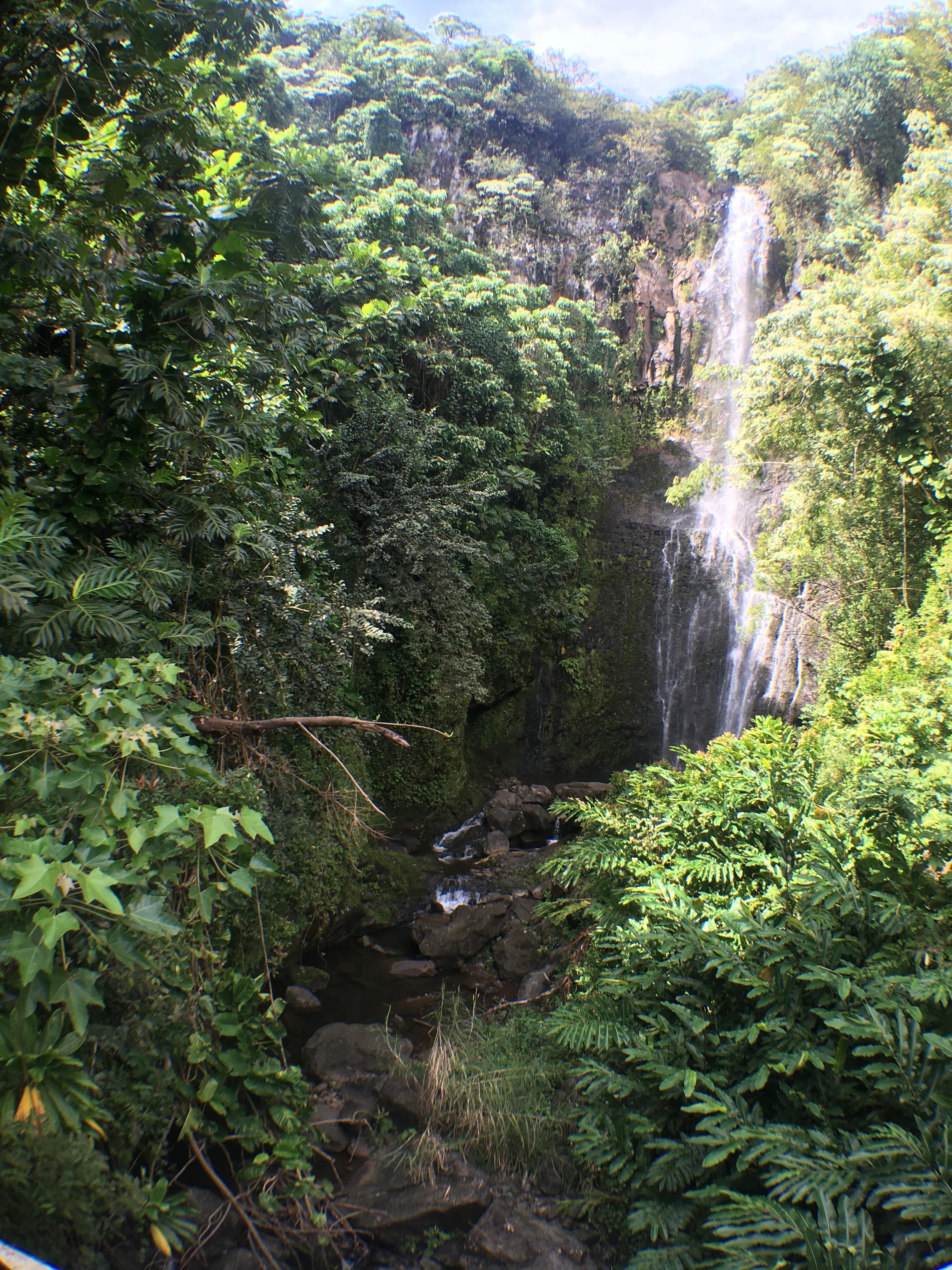 Fat head profile image