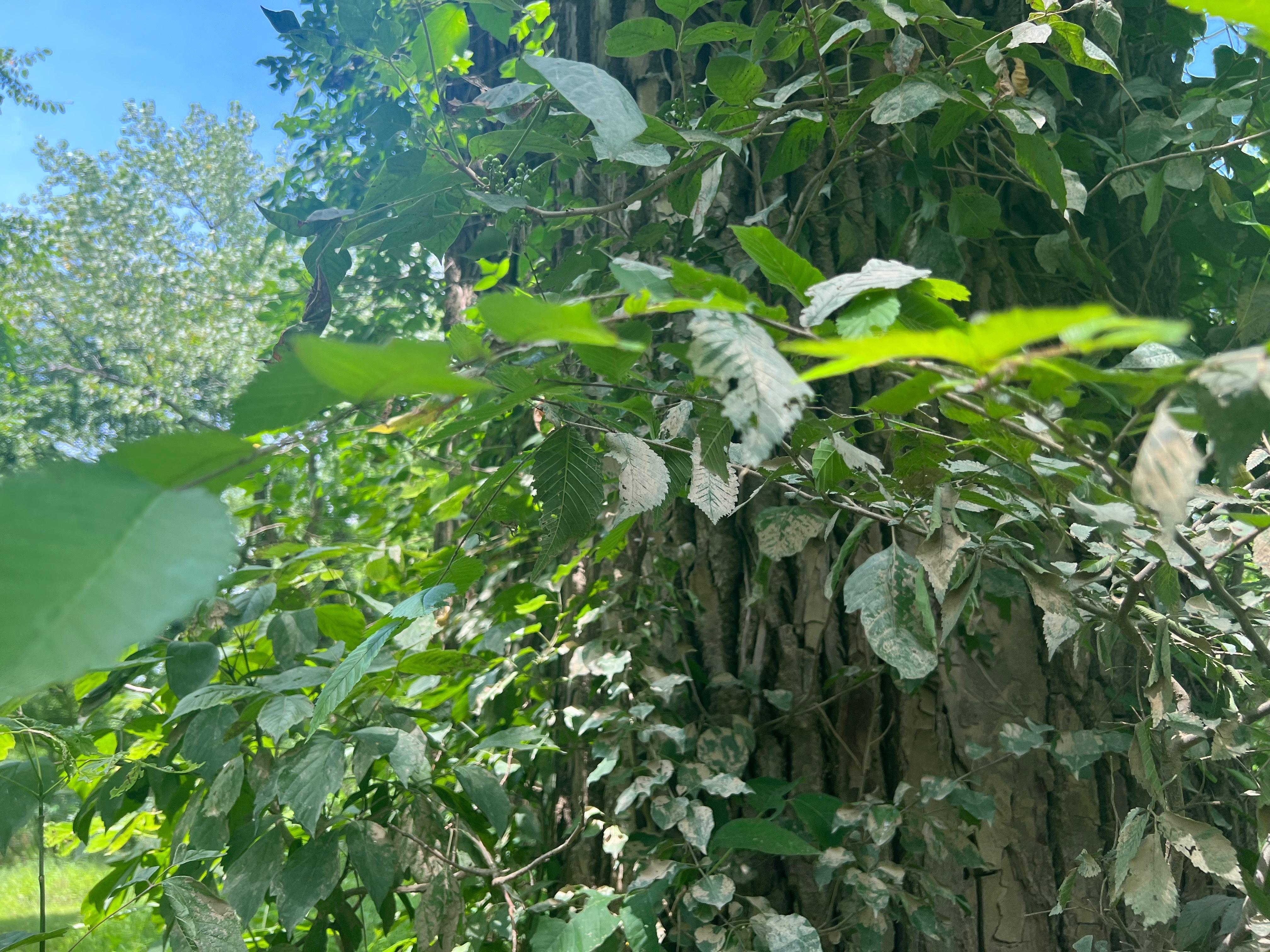 Clarice profile image