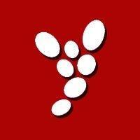 Gaysight | FanSight Zone profile image