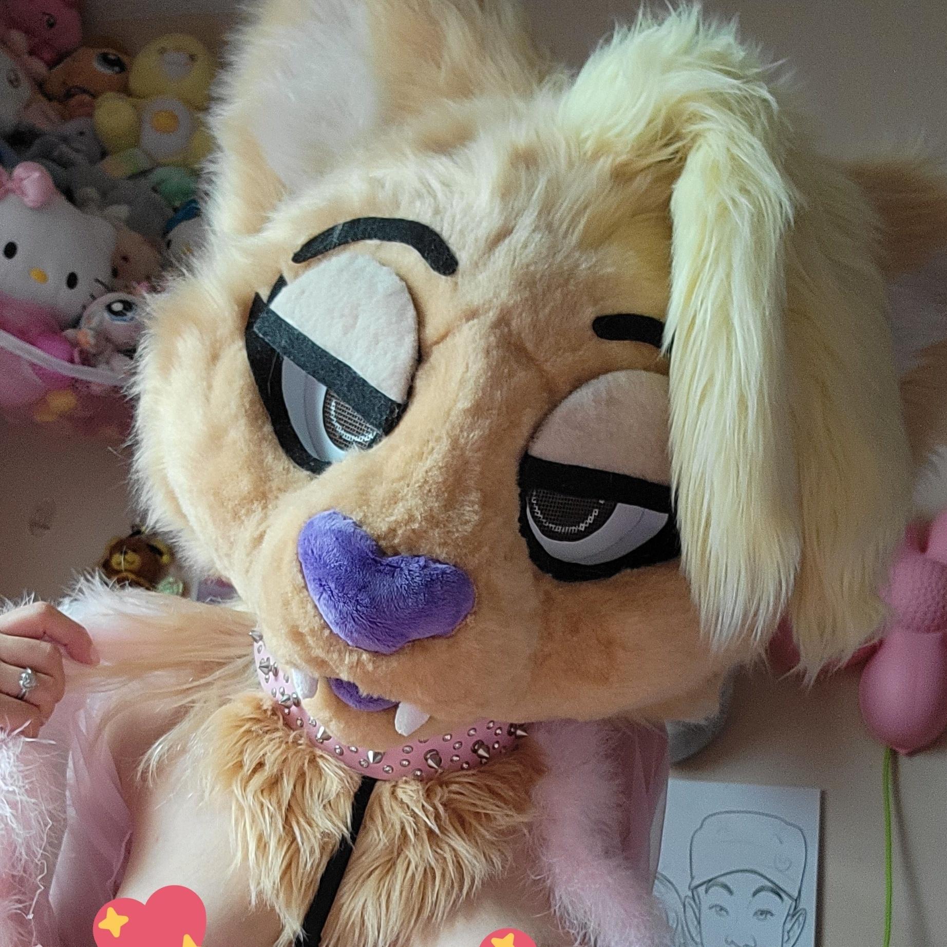 Trashy Lil Kitty profile image