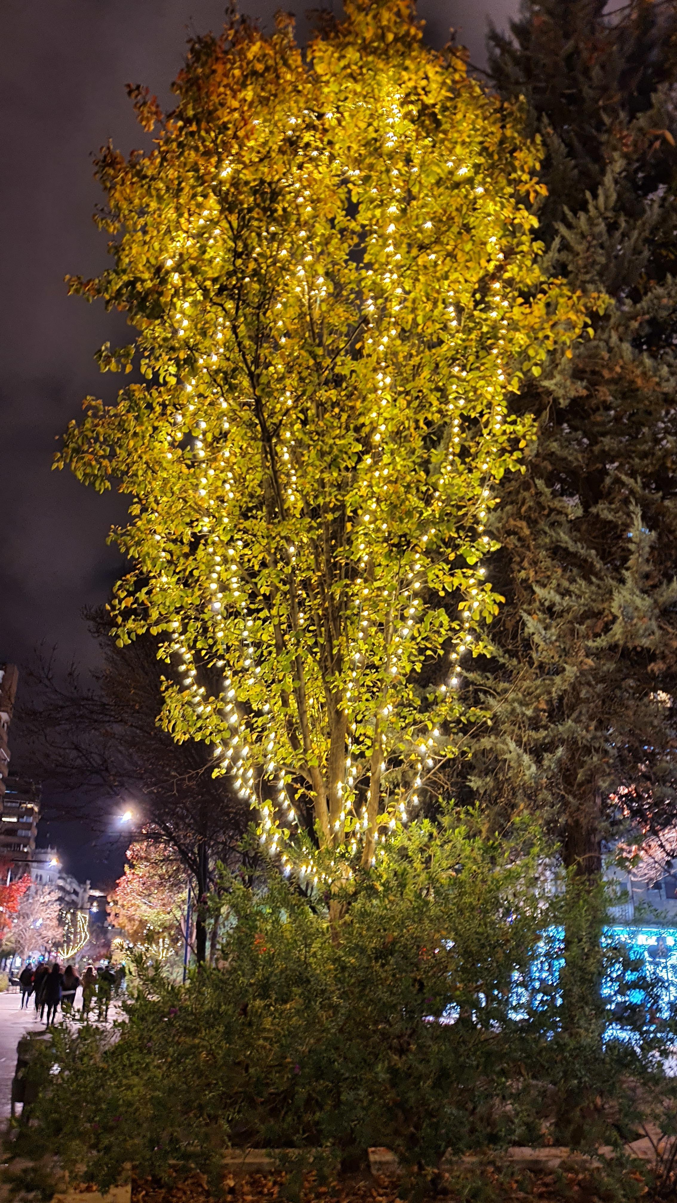 Troy Bolton profile image