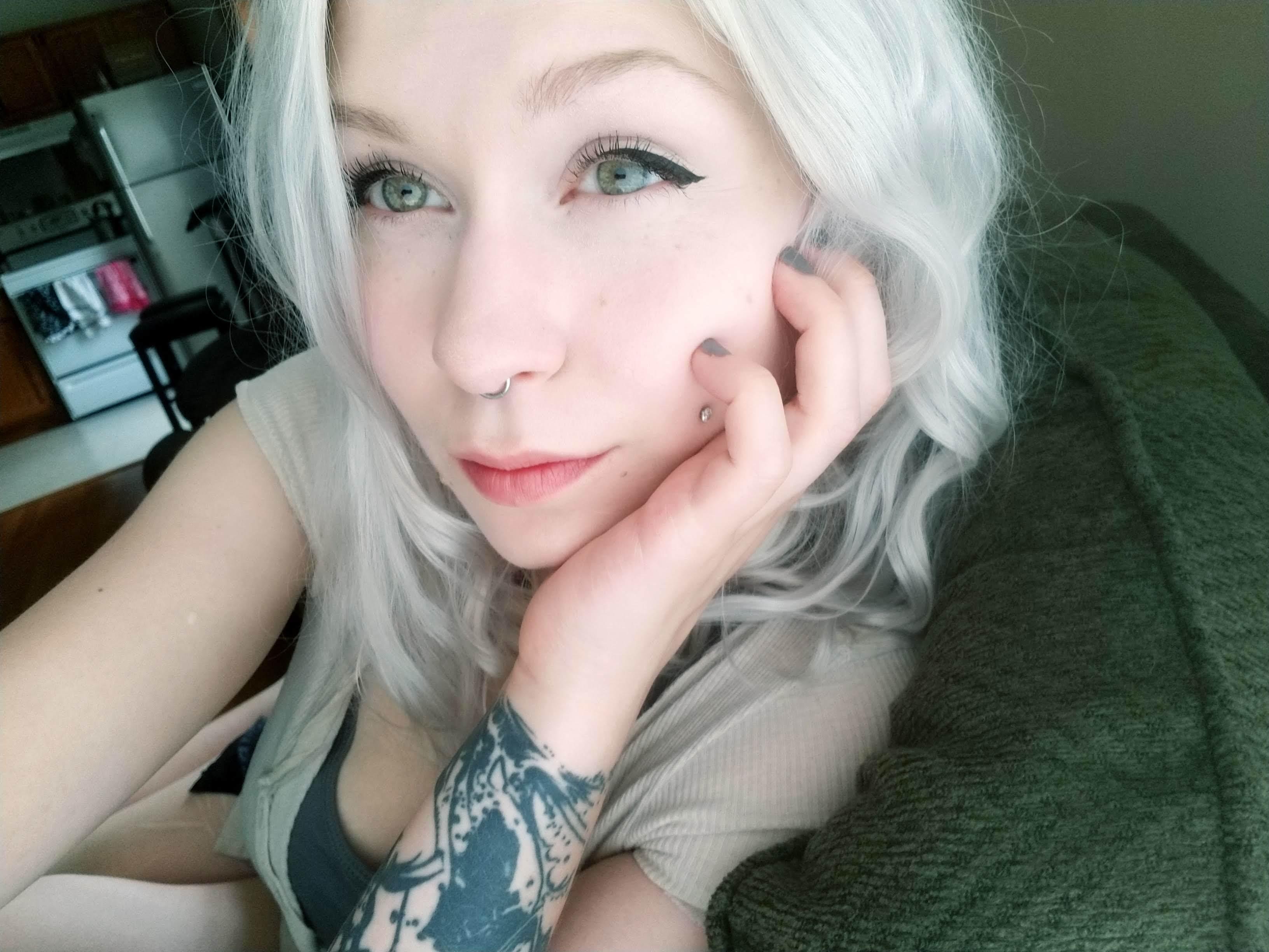 Little Lamb profile image