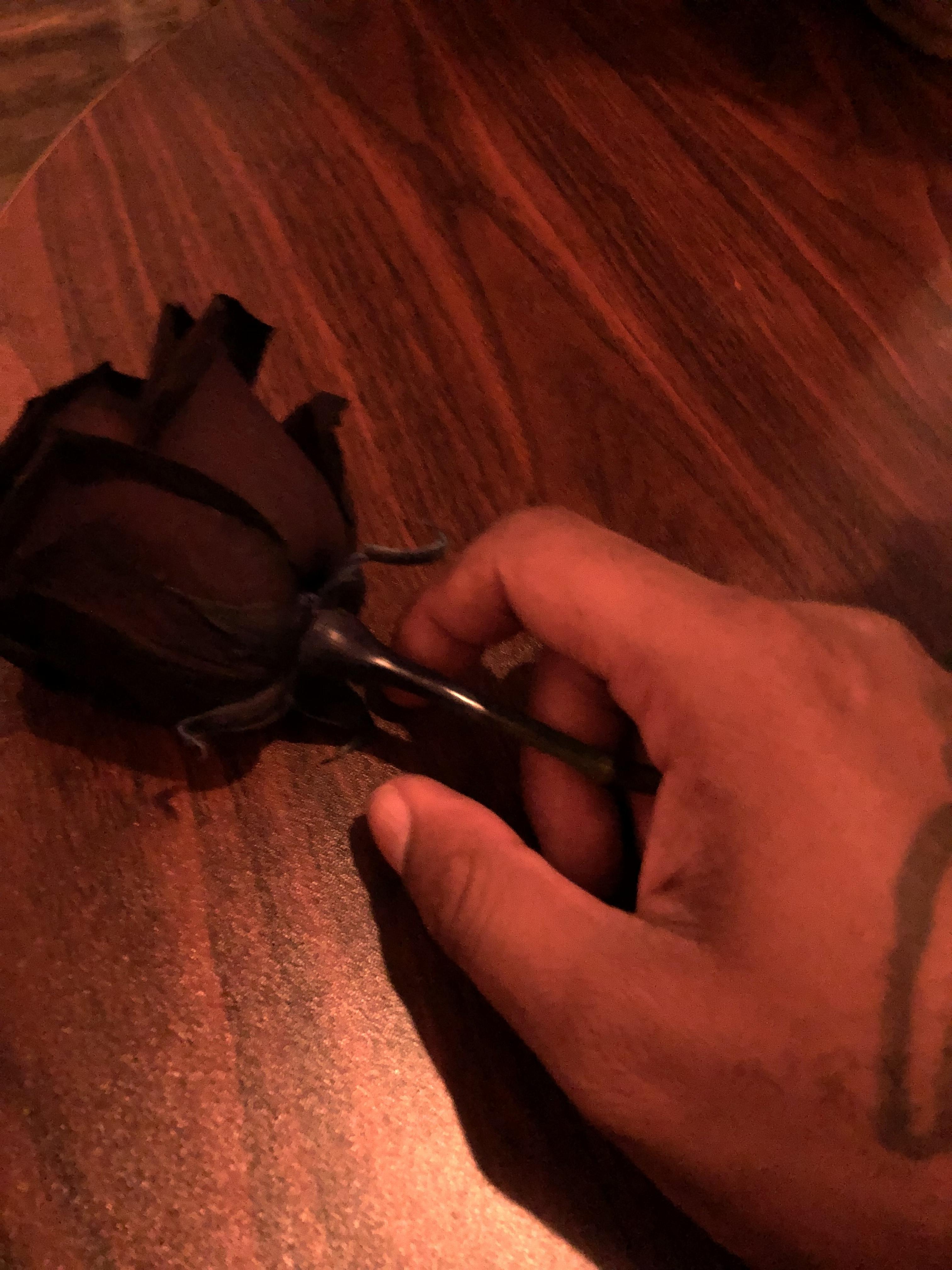 Nicknows profile image