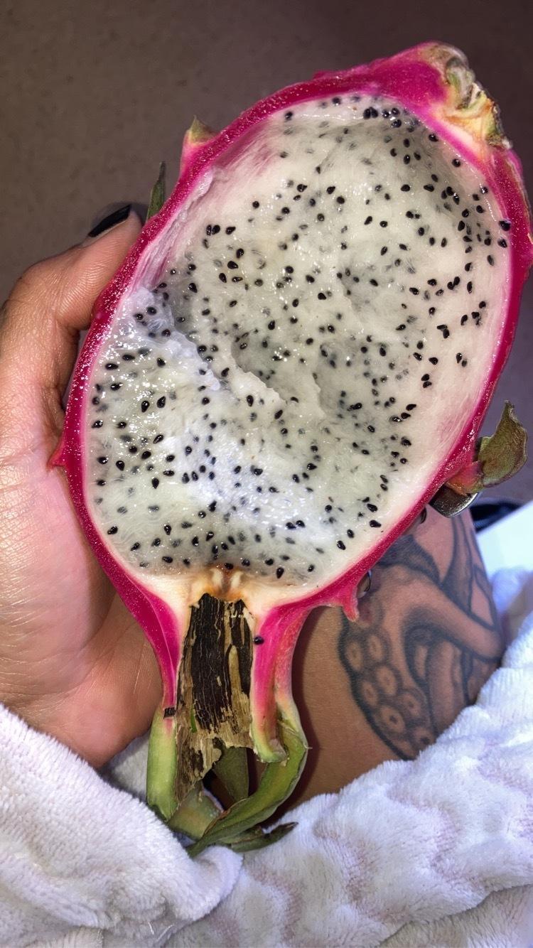 PinkCactusBits profile image