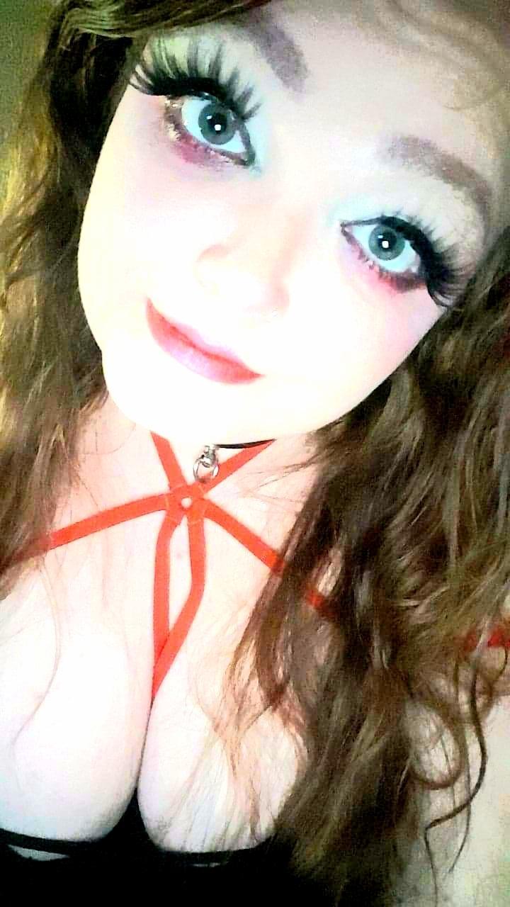 The Majesty Mayhem profile image