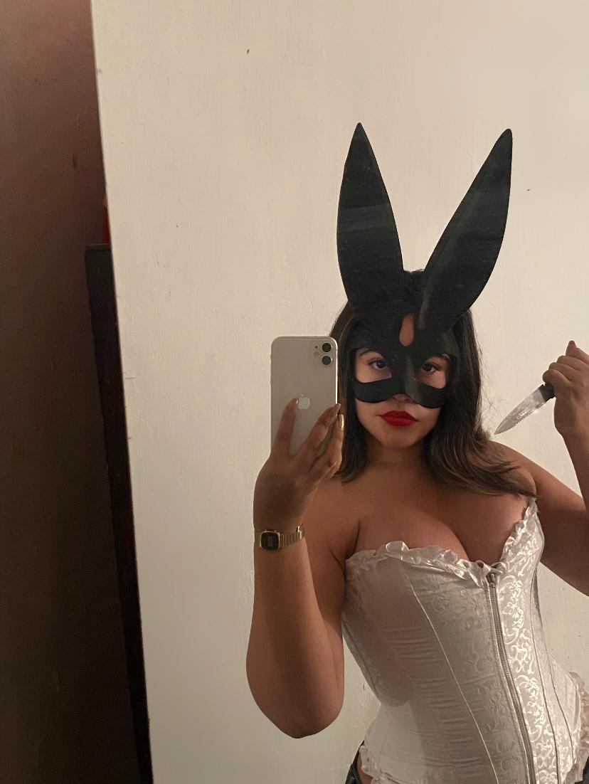 Sweet bunny profile image