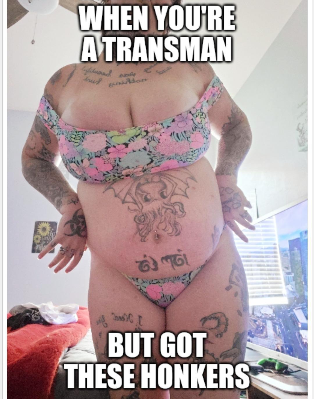 TransKen profile image